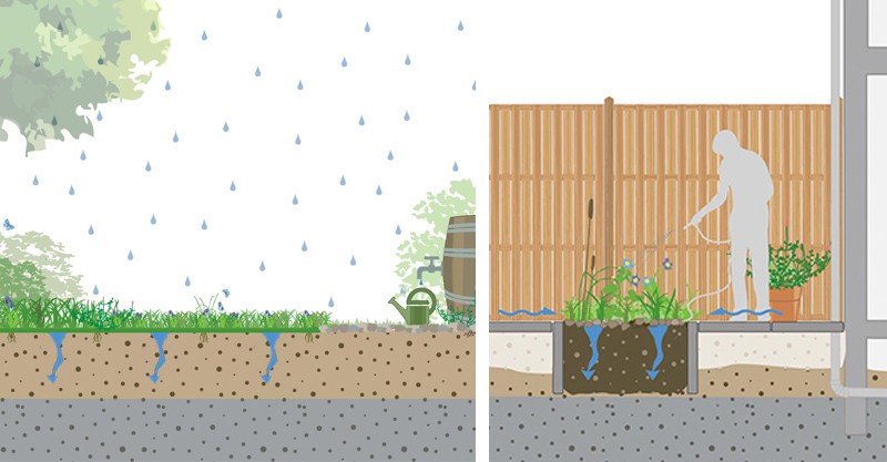 doorsnede rainproof beplanting