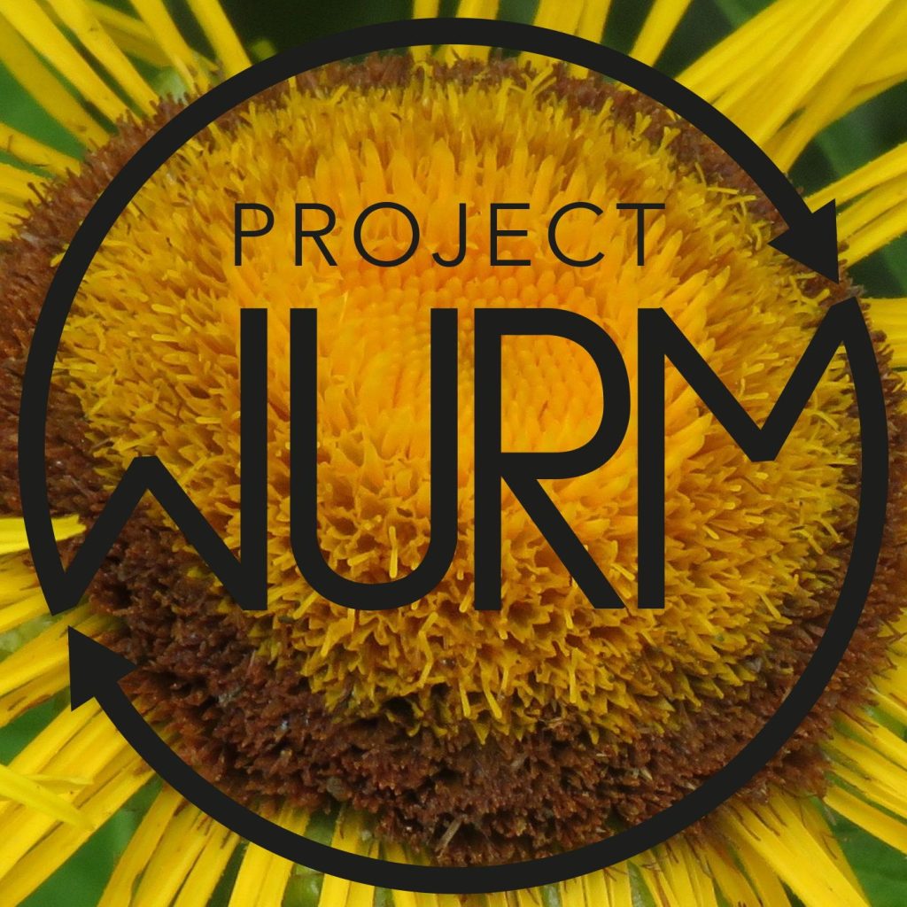 Project WURM